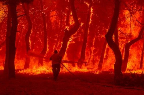 forest fires