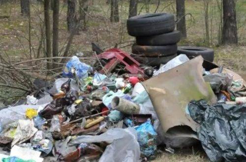 Latvians turn forests into dumps