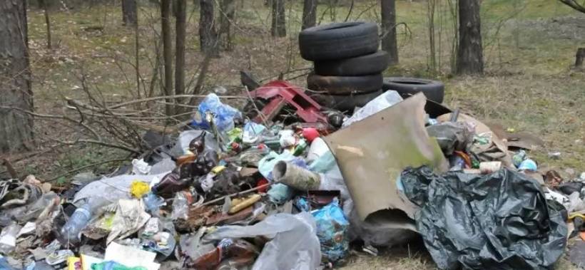 Latvians turn forests into dumps
