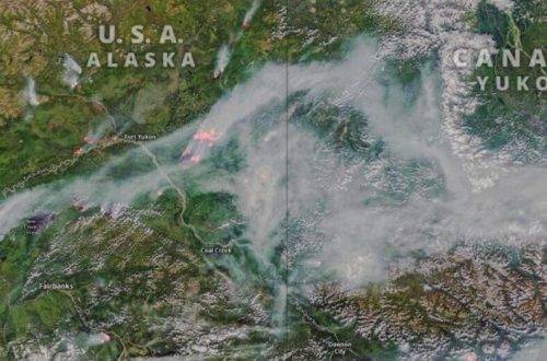 North American Boreal Forest Fires