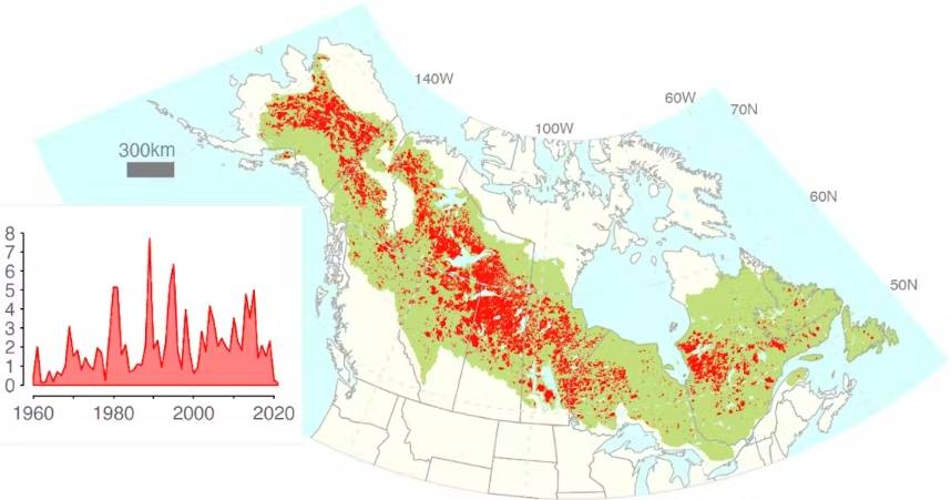 Mapping of fires (in red on the map) in North American boreal forests (green area on the map) since 1960