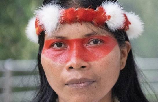 Indigenous people fight for forests